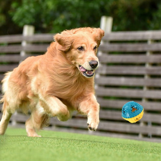 Juguete Interactivo para Perros con Dispensador de Comida y Limpieza Dental - Image 5