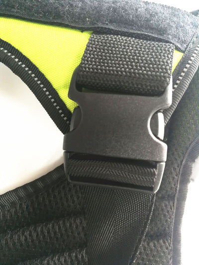 Arnés Pectoral para Perro con Cuerda de Mano - Chaleco Correa de Paseo - Image 26