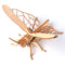 Grasshopper