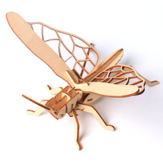 Puzzle 3D de Madera - Modelo de Insecto - Image 10