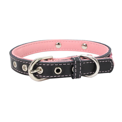 Collar para Perro de Acero Inoxidable con Grabado Láser - Image 2