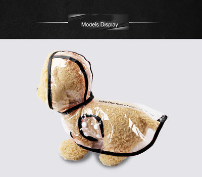 Impermeable Transparente para Mascotas - Image 5