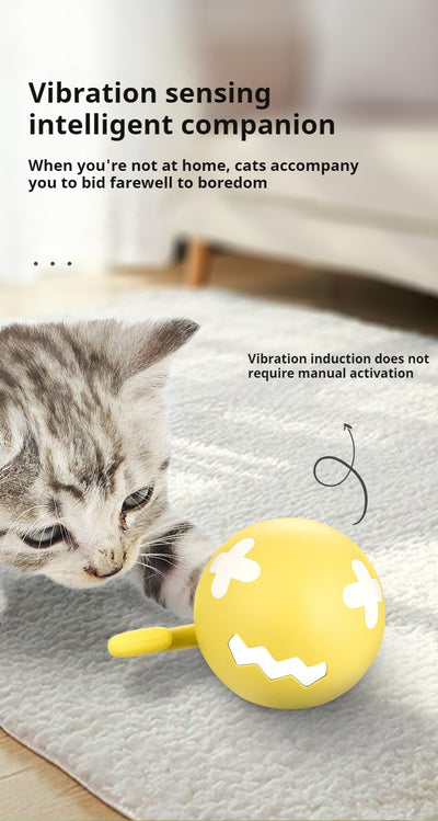 Juguete Interactivo Eléctrico para Gatos - Pelota Rodante USB con Diseño de Espina de Pescado - Image 12