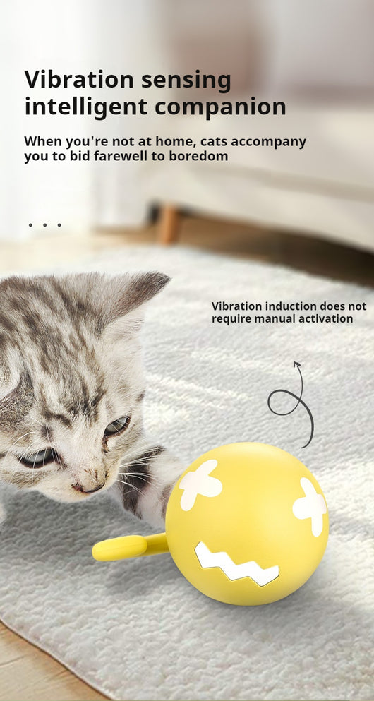 Juguete Interactivo Eléctrico para Gatos - Pelota Rodante USB con Diseño de Espina de Pescado - Image 12