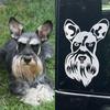 Calcomanía Personalizada para Auto con Foto de tu Mascota - Image 3