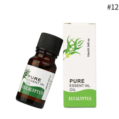 Aceite Esencial Aromaterápico 10ML - Bienestar Natural - Image 8