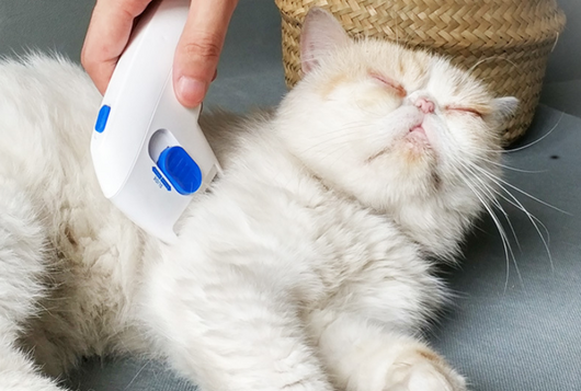 Peine Eléctrico Eliminador de Piojos para Gatos - Image 8