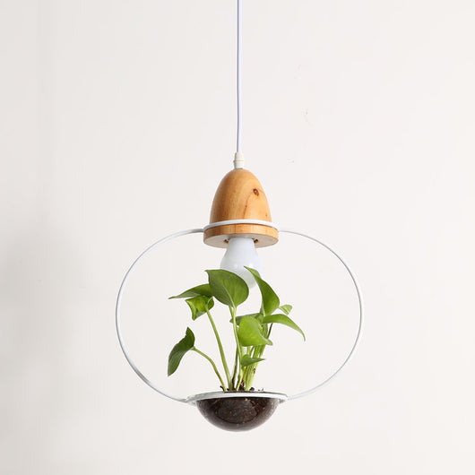 Lámpara Colgante con Plantas - Image 6
