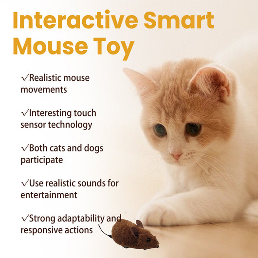 Brown interactive mouse toy for cats with a sound chip, shown in packaging with a kitten graphic and as a standalone toy. - Image 12