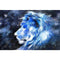 Pintura de Diamantes 5D León Cielo Estrellado - Stickers Adhesivos de Cristal