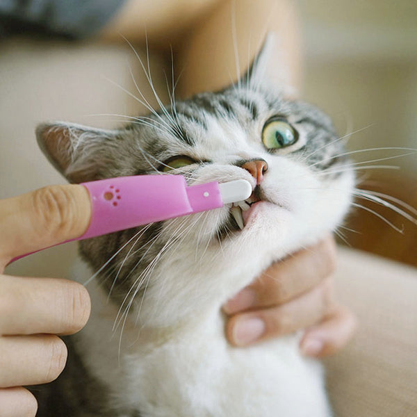 Cepillo de Dientes de Dedo para Gatos