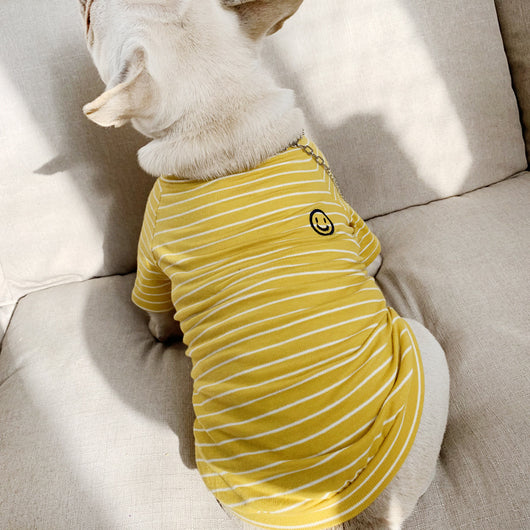 Ropa Familiar para Mascotas - Image 8