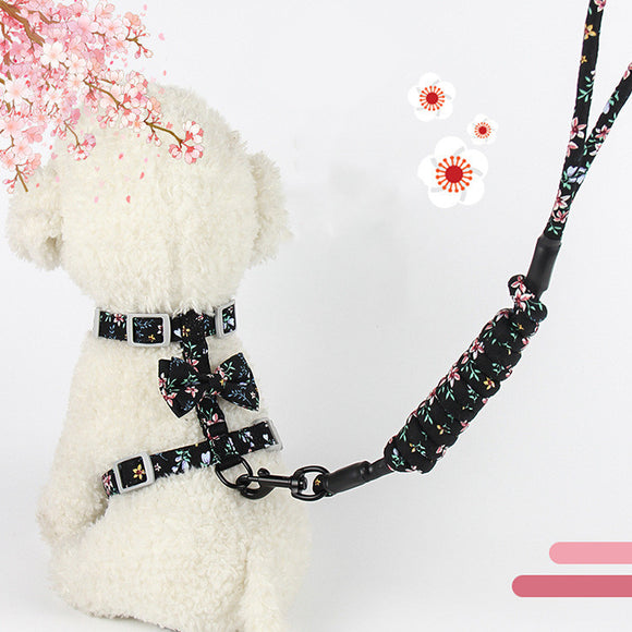 Correa para Gato con Diseño Floral y Estilo Japonés