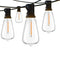 7.6 M 10Lights American Estándar