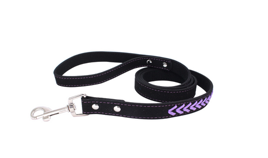 Collar para Perro de Acero Inoxidable con Grabado Láser - Image 14