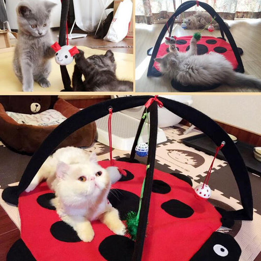 Casa de Juegos para Gatos Plegable con Hamaca y Juguetes Incluidos - Image 4