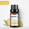 Árbol De Té 10 Ml