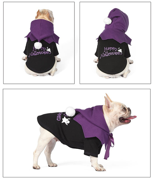 Suéter de Calabaza Divertido de Dos Piezas para Perros - Poncho Incluido - Image 15