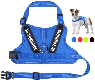 Arnés Personalizado para Mascotas