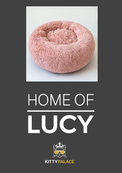Cama para mascotas con tapete personalizado - Image 12