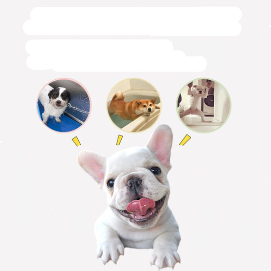 Comedero Silicona con Ventosa para Mascotas - Come Lento y Entretenido - Image 2