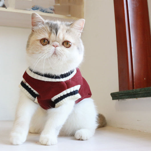 Chaleco de Punto sin Mangas Estilo Universidad Americana para Gatos - Image 7