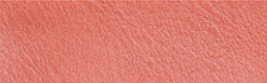 Tela Elástica Impresa con Palmas - Cuero PU Semiduro con PVC - Image 66