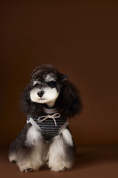 Suéter Tejido sin Mangas para Perros Pequeños Bichón Maltés York - Image 7