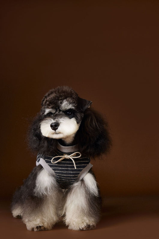 Suéter Tejido sin Mangas para Perros Pequeños Bichón Maltés York - Image 7