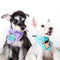 Pañuelo Triangular con Estampado de Mascotas Animadas