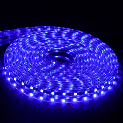 Cinturón Luminoso de Alto Voltaje - Image 20