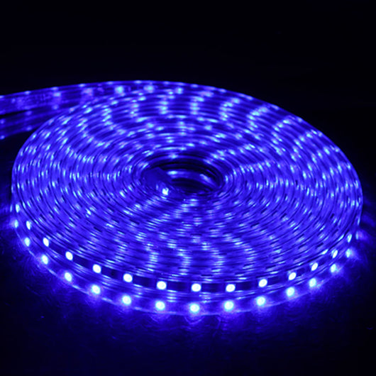 Cinturón Luminoso de Alto Voltaje - Image 20