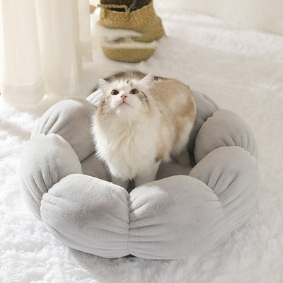 Arena para Gatos Premium Gruesa y Térmica - Image 2