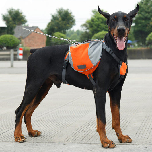 Mochila Oxford para Mascotas con Compartimiento de Transporte