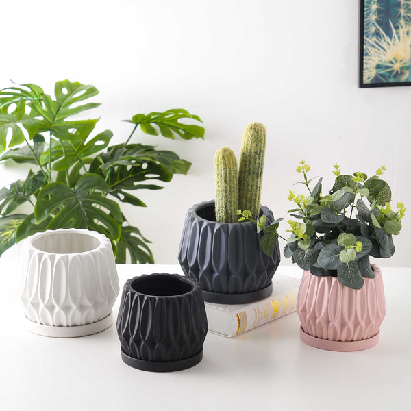Maceta de Cerámica para Plantas de Escritorio