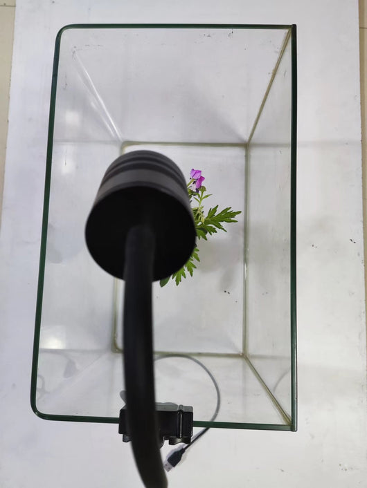 Foco LED Programable con Atenuación para Acuarios y Plantas Acuáticas - Image 11