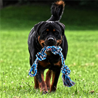 Cuerda de Algodón con Resorte para Mascotas - Image 3
