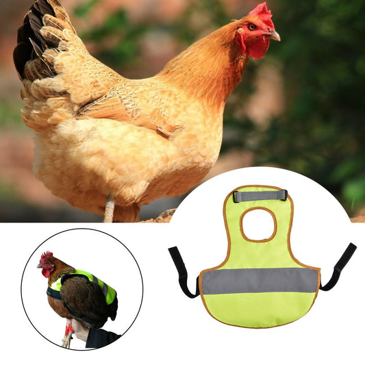 Chaleco Reflectante de Seguridad para Pollos y Gallinas