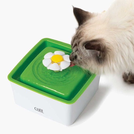 Fuente de Agua para Gatos con Filtro