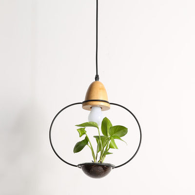 Lámpara Colgante con Plantas - Image 5
