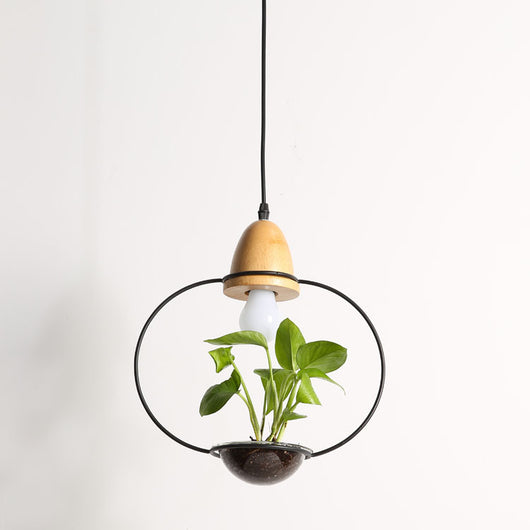 Lámpara Colgante con Plantas - Image 5