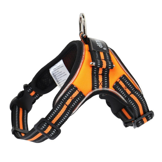 Collar Luminoso para Perros - Image 8