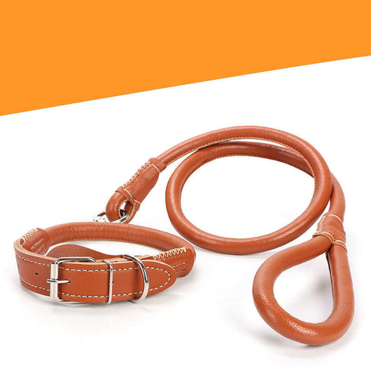 Collar de Cuero Premium con Cuerda para Perros Golden Retriever y Husky Tamaño Mediano-Grande - Image 9
