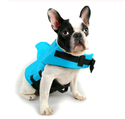 Chaleco Salvavidas para Perros Diseño Tiburón - Protección Acuática Verano - Image 6