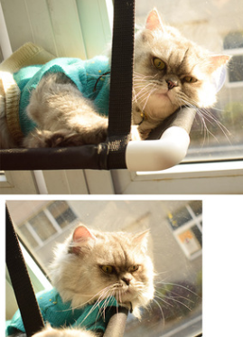 Hamaca Colgante para Gatos con Ventosas - Cama Nido Doble Capa - Image 3