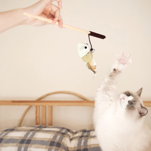 Wooden cat wand toy with a brown string, a small silver bell, a cream fabric mouse, and light brown feathers. - Image 18