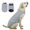 Ropa Impermeable y Resistente al Viento para Mascotas
