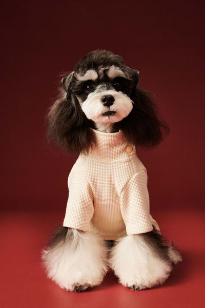 Ropa Térmica para Perros - Abrigo Waffle Otoño e Invierno - Image 17