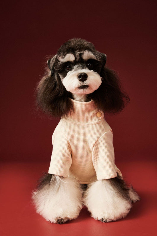 Ropa Térmica para Perros - Abrigo Waffle Otoño e Invierno - Image 17
