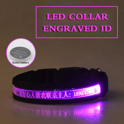 Collar Luminoso para Perros con Grabado Radium - Identificación Nocturna - Image 13